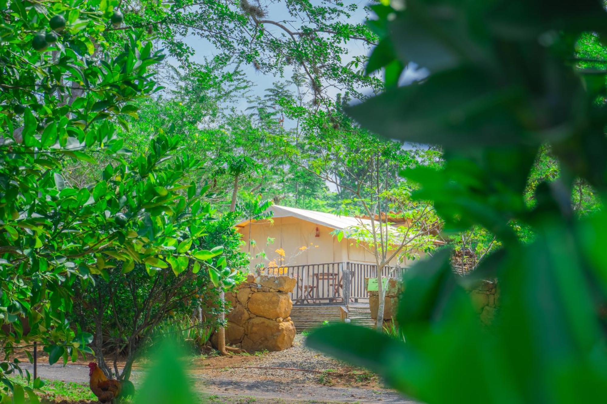 Hotel Hacienda Macedonia บาริชารา ภายนอก รูปภาพ